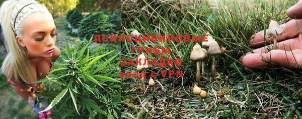 а пвп мука Алексеевка