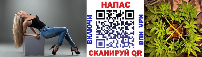 shop телеграм  Ясный  Конопля ГИДРОПОН 